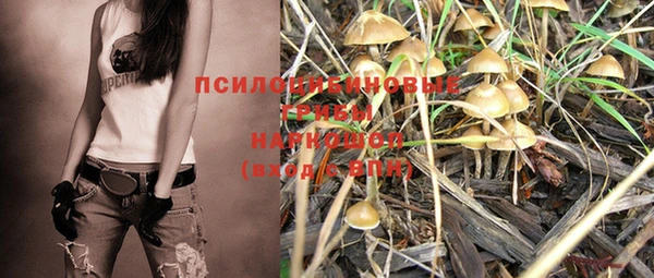 дурь Лиски