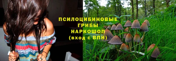дурь Лиски
