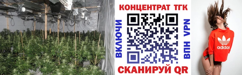 omg онион  продажа наркотиков  Тбилисская  ТГК вейп с тгк 